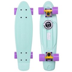 Купити Пенні Борд Fish Skateboards Pastel м'ятний